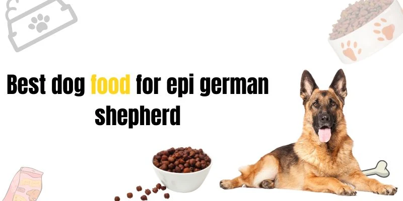 Best dog food for epi german shepherd